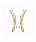 Pendientes de plata - 9118213