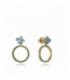 Pendientes Viceroy - 13143E000-33