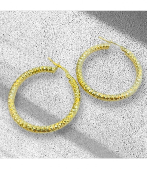 Pendientes de plata - 711261