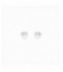 Pendientes de acero - ST0050P