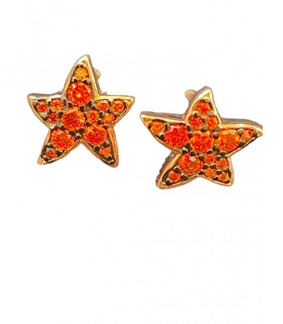 Pendientes de plata - 108-PK102D