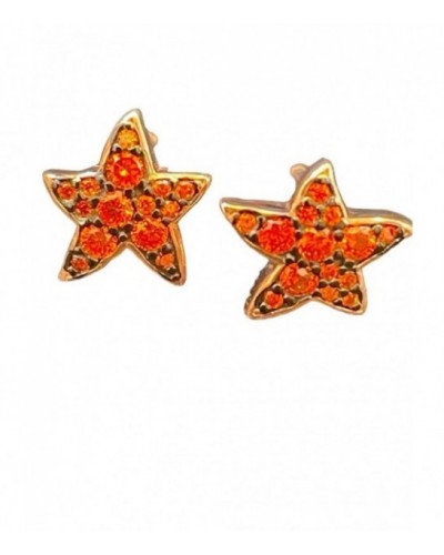 Pendientes de plata - 108-PK102D