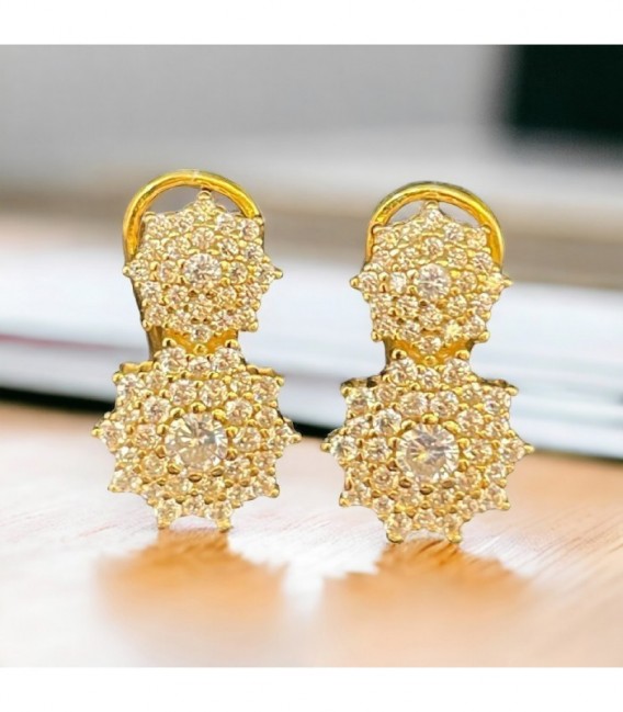 Pendientes de plata - 108-PK203D