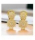 Pendientes de plata - 108-PK203D