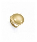 Anillo Viceroy - 14206A01812