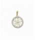 Colgante de oro - 229-224-2