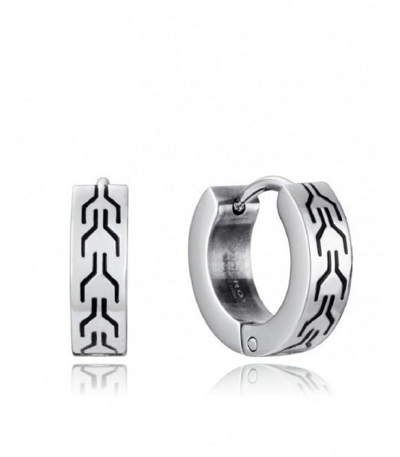 Pendientes Viceroy - 14215E01000