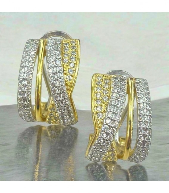 Pendientes de plata - 162-P202F
