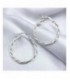Pendientes de plata - CRI-P2X20I