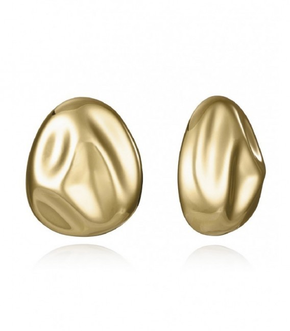 Pendientes Viceroy - 15160E01012