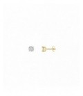 Pendientes de plata - 103A0116