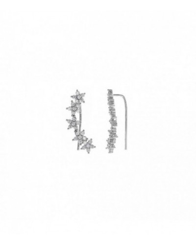 Pendientes de plata - 213A0188