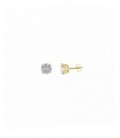 Pendientes de plata - 103A0124
