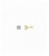 Pendientes de plata - 103A0124