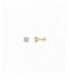 Pendientes de plata - 103A0123