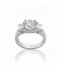 Anillo de plata - WS002.8.00