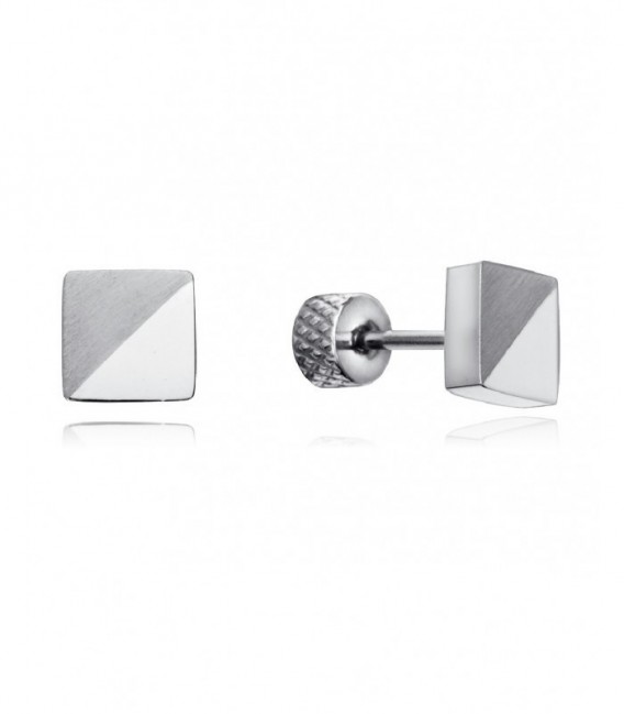 Pendientes Viceroy - 14223E01000