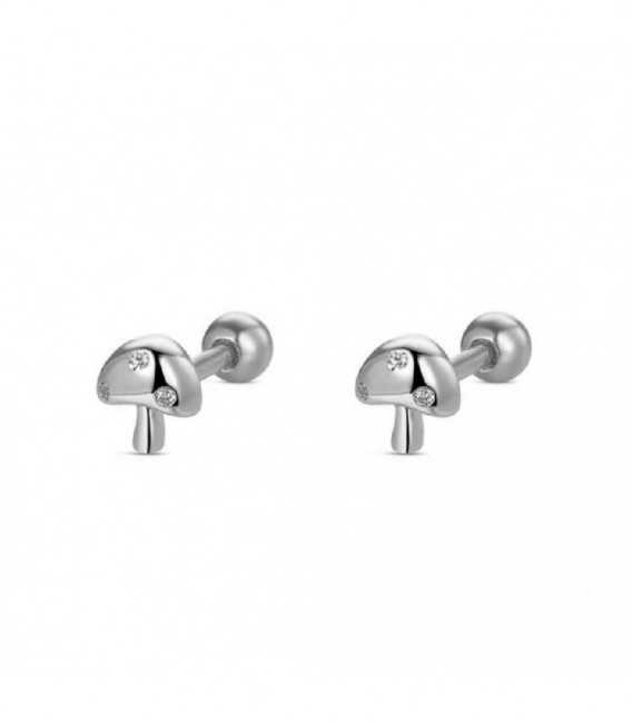 Pendientes de plata - 9124058