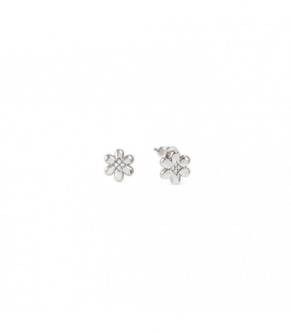 Pendientes de plata - 242310-010