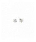 Pendientes de plata - 242310-010