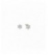 Pendientes de plata - 242310-010