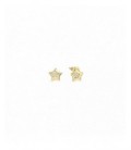 Pendientes de plata - 242310-009