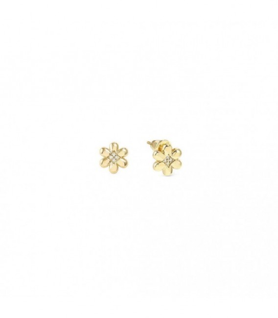 Pendientes de plata - 242310-012