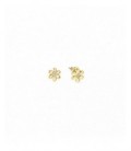 Pendientes de plata - 242310-012