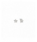 Pendientes de plata - 242310-007