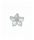 Broche - Z2017038/B