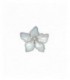 Broche - Z2017038/B