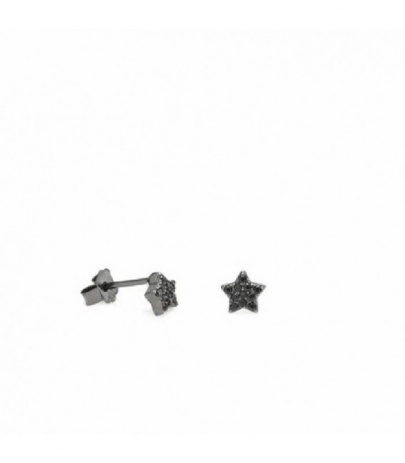 Pendientes de plata - 16369-N-A