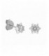 Pendientes de plata - BME142