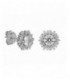 Pendientes de plata - BME082