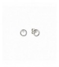 Pendientes de plata - 242603-043