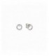 Pendientes de plata - 242603-043