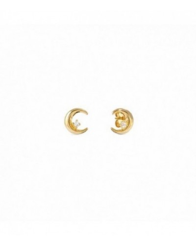 Pendientes de plata - 242603-024