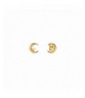 Pendientes de plata - 242603-024