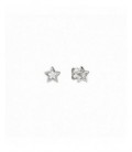 Pendientes de plata - 242603-007
