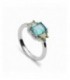 Anillo de plata - 20680-V-R