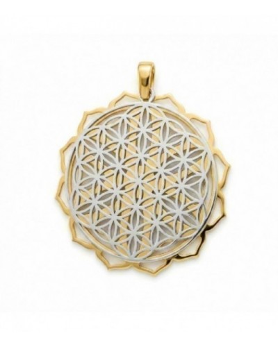 Colgante de plata - 144-P97A