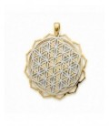 Colgante de plata - 144-P97A