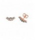 Pendientes plata -