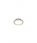 Anillo de plata - 136S0147/14