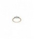 Anillo de plata - 136S0147/14