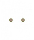 Pendientes Raive - P366