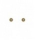 Pendientes Raive - P366