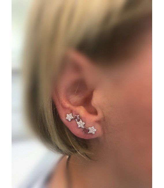 Pendientes plata - 710548