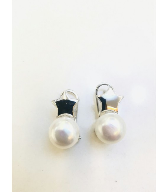 Pendientes plata - 25100661