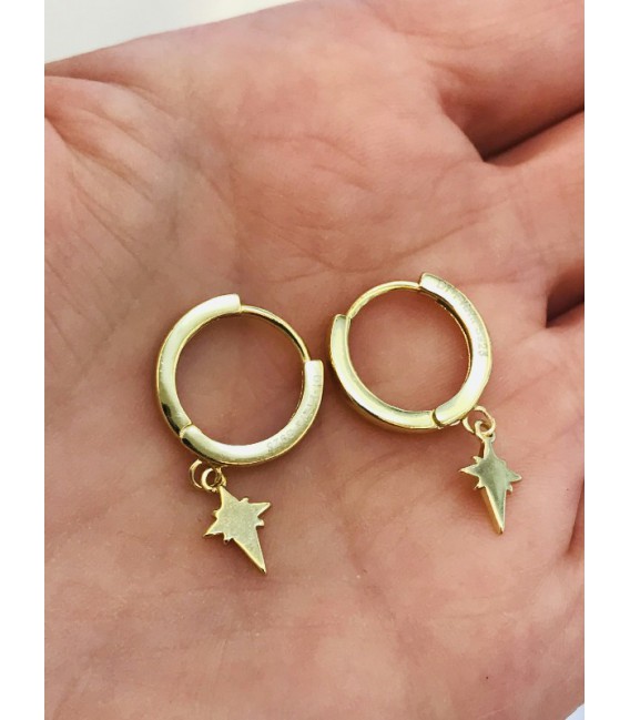 Pendientes de plata - 2140232/Y